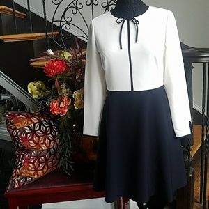 Ted Baker Loozy (Navy&White)